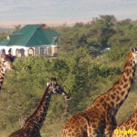 Narasha Homestay - Maasai Mara Talek Dış mekan fotoğraf