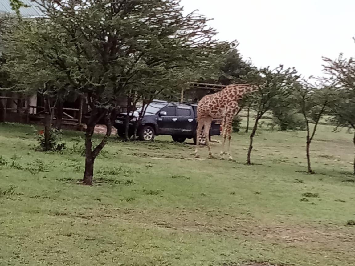 Narasha Homestay - Maasai Mara Talek Dış mekan fotoğraf