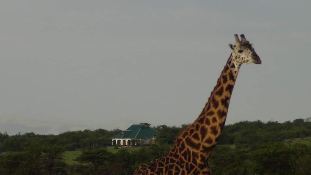 Narasha Homestay - Maasai Mara Talek Dış mekan fotoğraf