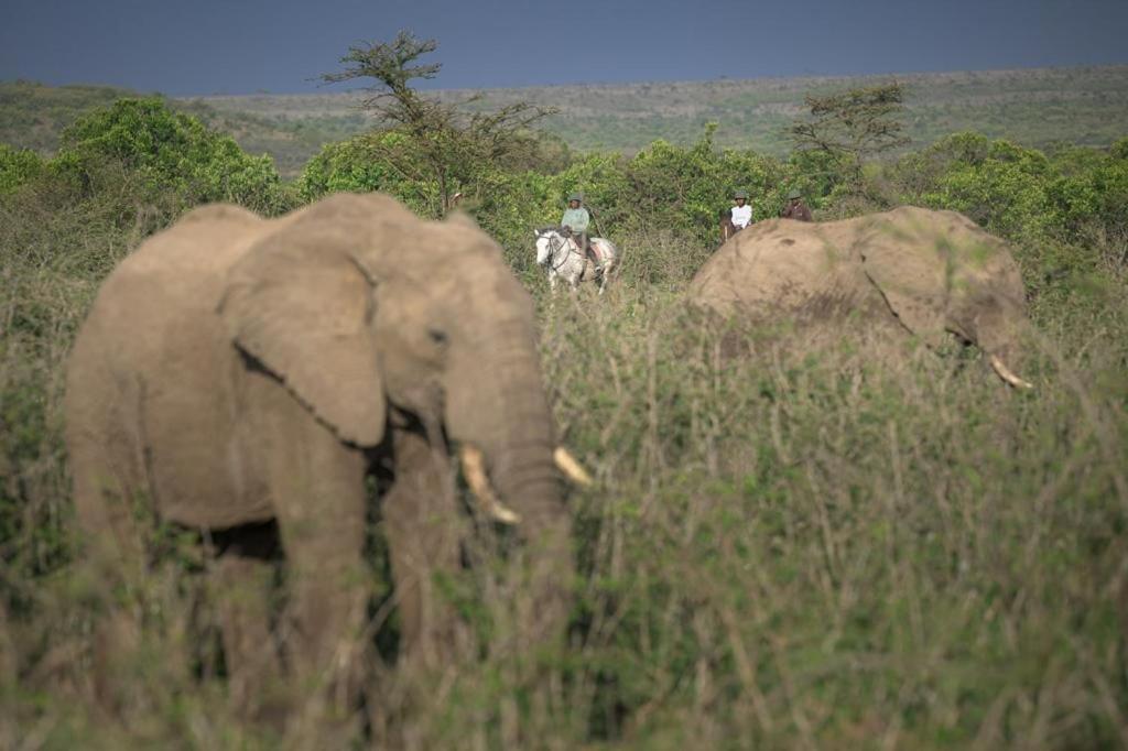 Narasha Homestay - Maasai Mara Talek Dış mekan fotoğraf