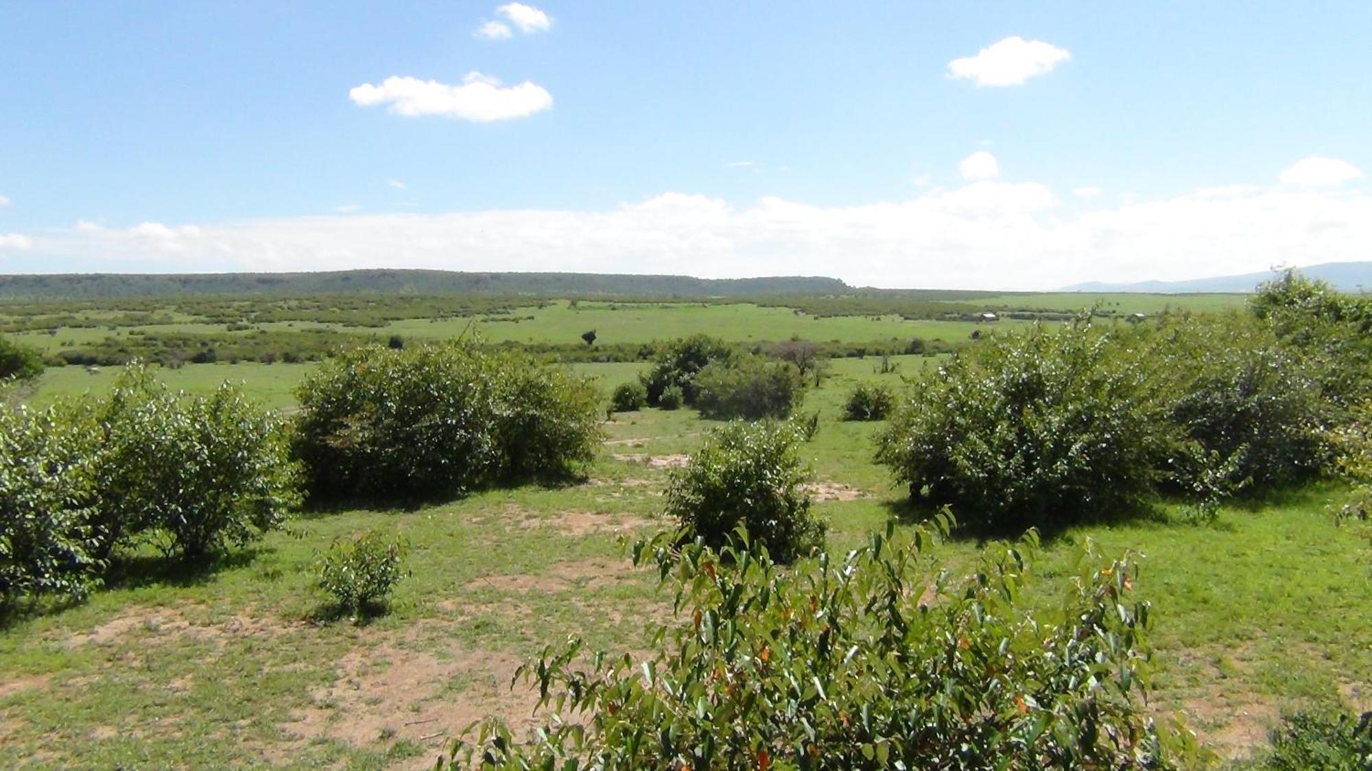 Narasha Homestay - Maasai Mara Talek Oda fotoğraf