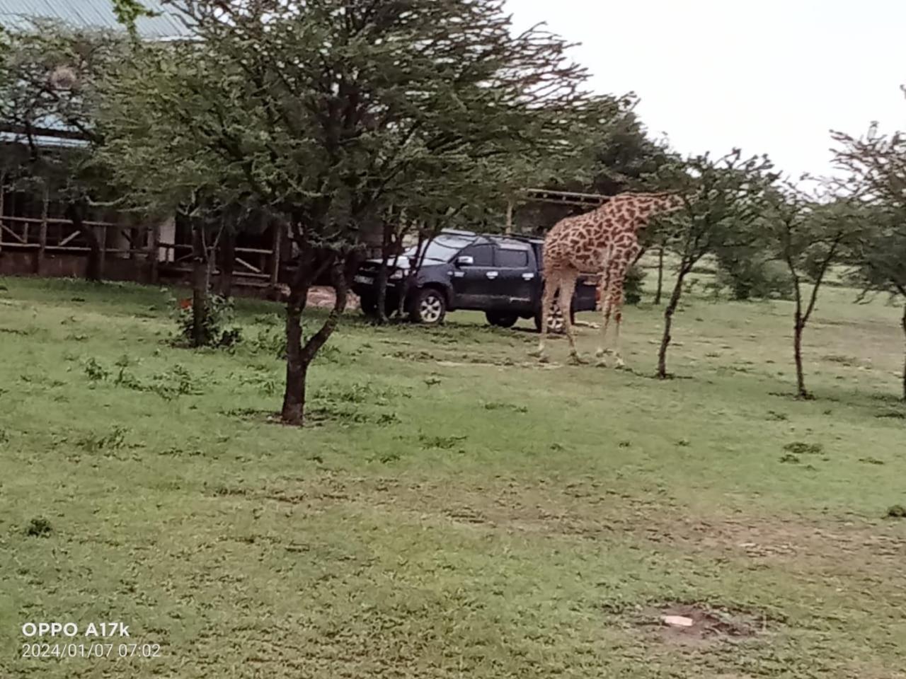 Narasha Homestay - Maasai Mara Talek Oda fotoğraf