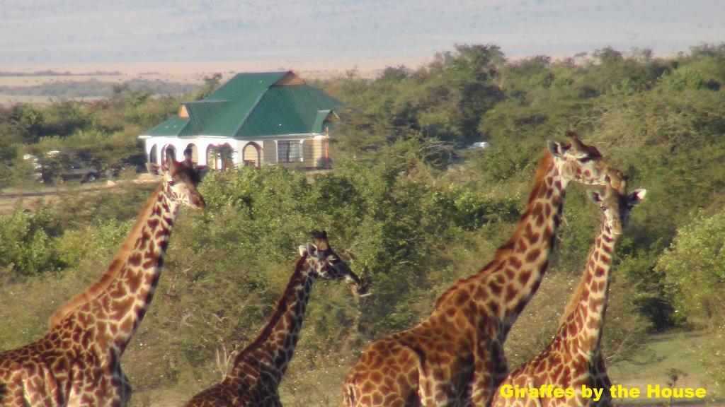 Narasha Homestay - Maasai Mara Talek Dış mekan fotoğraf