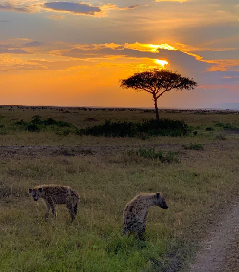 Narasha Homestay - Maasai Mara Talek Dış mekan fotoğraf