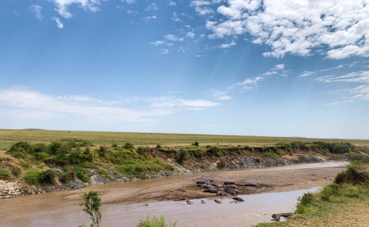 Narasha Homestay - Maasai Mara Talek Dış mekan fotoğraf